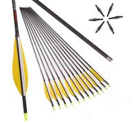 PHILOCS 12pcs ID 6.2mm Hunting Arrows Straightness +-0.001" Spine 200 300 400 500 600 700 800 Target Arrows, for Archery (32inch,Spine 300)