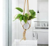 Philodendron Brasil Houseplant - 12cm Pot Easy-Care Trailing Indoor Plant - Hanging Ceramic White Macrame