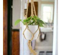 Philodendron Scandens - Heartleaf Trailing Plant in 12cm Pot - Hanging Ceramic White Macrame