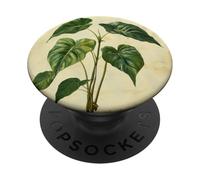 Philodendron Vintage Scientific Illustration Plant PopSockets Adhesive PopGrip
