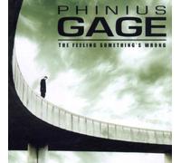 Phinius Gage - The Feeling Something's Wrong