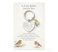 PHIOMUUE Robin Memorial Gifts for Women | Sentimental Bereavement Gifts with Ro/bin Keyring & Card A Little Ro/bin, Just for You | Thoughtful Robin Keychain for Loss of Mum, Dad, Grandma, Friend