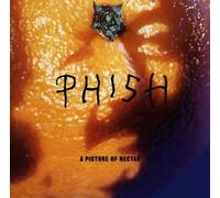 Phish - A Picture Of Nectar