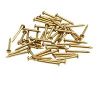 PHITUODA 100 Pack Small Tiny Brass Nails, 1.2mm x 12mm MIni Precision Nails Round Head Decorative Nails for DIY Crafts/Picture Hanging/Wooden