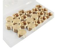 PHITUODA 12 Pcs 1/2" NPT Male Pipe Plug, Brass Fitting Hex Counter Sunk Pipe Plug with Internal Hex Drive, Hex Thread Socket Pipe Plug Kit