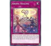 PHNI-EN077 Aroma Healing Trading Card