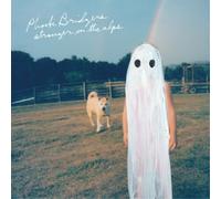 BRIDGERS, Phoebe - Stranger In The Alps - Vinyl (LP)