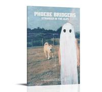 Phoebe Bridgers Stranger in The AlpsWall Art Poster Waterproof Living Room Bedroom Office Modern Canvas Printing Home Decoration Gift CreativityPhoebe Bridgers Stranger in The Alps20x30inch(50x75cm)