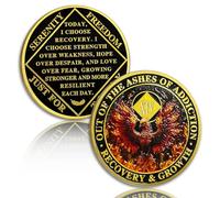 Phoenix 14 Year Sobriety Coin, Rising From the Ashes NA Coin | Narcotics Anonymous Recovery Anniversary Token, Fourteen Year Sober Chip - Sobriety Gifts for Men and Women