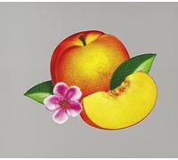 Phoenix - Bankrupt (Bonus Cd) (Jpn)