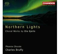 Northern Lights