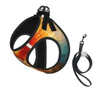 Phoenix Dog Harness - Equipped with Reflective Straps and Quick Release Buckles - Suitable for Small Cats and Dogs