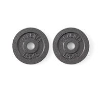 Phoenix Fitness Cast Iron Weight Plates - 1-Inch Free Weight Plate for Barbell Dumbbell Bars, Weightlifting & Strength Training at Home Gym - Pair, 1.25kg