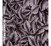 Phoenix Foundation,the - Falling