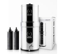 PHOENIX GRAVITY 6-Litre Stainless Steel Gravity Water Filter NSF Certified AISI 304 Countertop Water Filter System with 2 Smart (Black) Carbon Cartridges, Free Water Tap, No Power Or Plumbing Required