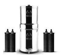 PHOENIX GRAVITY 8 Litre Gravity Stainless Steel Drinking Water Filter with NSF Certified 4 Phoenix Carbon Water Filter Cartridges, Stainless Steel Tap