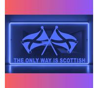 Phoenix Lights Truck Bulkhead Light Up Mirror Light Board Interior Light The Only Way Is Scottish
