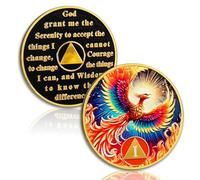 Phoenix of Light 1 Year Sobriety Coin, Rebirth in Fire AA Coin - Addiction Recovery One Year Sober Medal with Token Capsule, Alcoholics Anonymous Sobriety Gifts for Men Women
