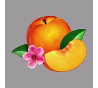 Phoenix - Pop CD, Phoenix - Bankrupt! (2CD Deluxe Edition)[002kr]