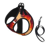 Phoenix Print Pet Vest Harnesses Leash Set Reflective Puppy Vest Dogs Walking Training Dog Harness
