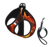 Phoenix Print Small Dog Harness with Leash Set, No Escape Easy Walk Puppy Harnesses for Training Walking