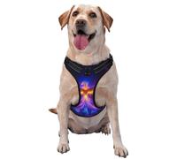 Phoenix Rising Golden Fiery Wings No Pull Dog Harness Adjustable Reflective Oxford Easy Control Medium Large Dog Harness