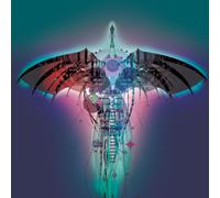 PHOENIX RISING LP