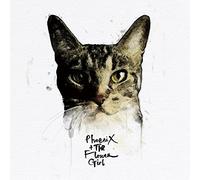 Phoenix & The Flower Girl - Nala [Japan CD] NOT-8