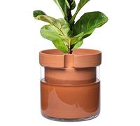 Phoenix Vine 10 Inch Self Watering Planter Pot, Terracotta Clay Pot with Glass Reservoir for Indoor Plants, Herbs, Flowers, Set of 1, 52-A-I-1