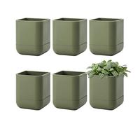 Phoenix Vine 3.5 Inch Wall Mounted Self-Watering Planter Pot for Indoor Houseplants and Herbs | Hanging Planter for Window Sills, Bathroom Walls, Home & Office Décor, Olive, Set of 6, 01-A-F-6