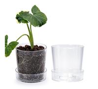 Phoenix Vine 4.5 Inch Clear Acrylic Planter Pot with Tray, Orchid Pot with Drainage Holes, Deep Saucer for Bottom Watering, Transparent Containers for Indoor Plants, Herbs, Set of 2, 91-A-E-2