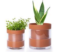 Phoenix Vine 4 Inch 6 Inch Self Watering Planter Pots, Terracotta Clay Pots with Glass Reservoir for Indoor Plants, Herbs, Flowers, 52-A-G-46