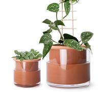 Phoenix Vine 4 Inch 6 Inch Self Watering Plants Pots, Design Terracotta Pots for Plants, Indoor Cylinder Terra Cotta Planter with Glass Vase Set, 51-A-G-46