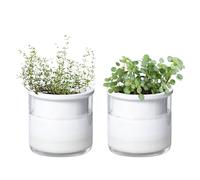 Phoenix Vine 4 Inch Self Watering Planter Pot, Design White Terracotta Pots for Plants, Indoor Cylinder Terra Cotta Pots with Glass Vase, Set of 2, 51-B-E-2