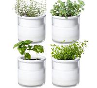 Phoenix Vine 4 Inch Self Watering Planter Pot, Design White Terracotta Pots for Plants, Indoor Cylinder Terra Cotta Pots with Glass Vase, Set of 4, 51-B-E-4