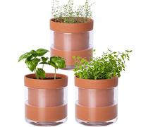 Phoenix Vine 4 Inch Self Watering Planter Pot, Terracotta Clay Pot with Glass Reservoir for Indoor Plants, Herbs, Flowers, Set of 3, 52-A-E-3