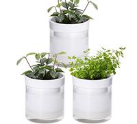 Phoenix Vine 4 Inch Self Watering Planter, White Terracotta Clay Pot with Glass Reservoir for Indoor Plants, Herbs, Flowers, Set of 3, 52-B-E-3