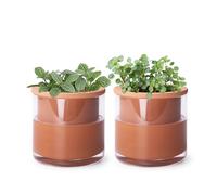 Phoenix Vine 4 Inch Self Watering Plants Pot, Design Terracotta Pot for Plants, Indoor Cylinder Terra Cotta Planter with Glass Vase, Set of 2, 51-A-E-2