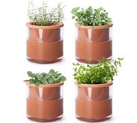Phoenix Vine 4 Inch Self Watering Plants Pot, Design Terracotta Pot for Plants, Indoor Cylinder Terra Cotta Planter with Glass Vase, Set of 4, 51-A-E-4