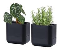 Phoenix Vine 6.5 Inch Wall Mounted Hanging Self Watering Planter Pot, Small Flower Succulents Herbs Plant Container, Black, Set of 2, 01-WP-B-2