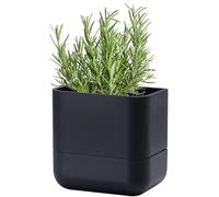 Phoenix Vine 6.5 Inch Wall Mounted Hanging Self Watering Planter Pot, Small Flower Succulents Herbs Plant Container, Black, Set of 1, 01-WP-B-1