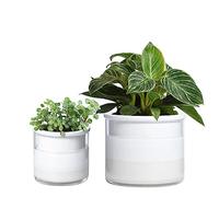 Phoenix Vine 6 Inch 4 Inch Self Watering Planter Pots, Design White Terracotta Pots for Plants, Indoor Cylinder Terra Cotta Pots with Glass Vase Set, 51-B-G-46