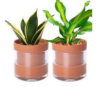 Phoenix Vine 6 Inch Self Watering Planter Pot, Terracotta Clay Pot with Glass Reservoir for Indoor Plants, Herbs, Flowers, Set of 2, 52-A-F-2