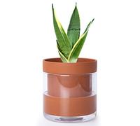 Phoenix Vine 6 Inch Self Watering Planter Pot, Terracotta Clay Pot with Glass Reservoir for Indoor Plants, Herbs, Flowers, Set of 1, 52-A-F-1
