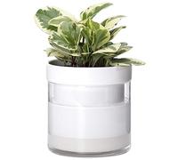 Phoenix Vine 6 Inch Self Watering Planter, White Terracotta Clay Pot with Glass Reservoir for Indoor Plants, Herbs, Flowers, Set of 1, 52-B-F-1