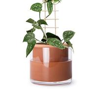 Phoenix Vine 6 Inch Self Watering Plants Pot, Design Terracotta Pot for Plants, Indoor Cylinder Terra Cotta Planter with Glass Vase, Set of 1, 51-A-F-1