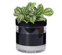 Phoenix Vine 6 Inch Self Watering Terracotta Planter, Black Terracotta Clay Pot with Glass Reservoir for Indoor Plants, Herbs, Flowers, Set of 1, 52-C-F-1