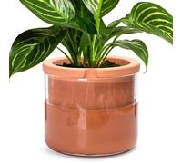 Phoenix Vine 8 Inch Self Watering Planter Pots, Design White Terracotta Pots for Plants, Indoor Cylinder Terra Cotta Pots with Glass Vase, Set of 1, 51-A-H-1