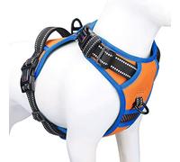 PHOEPET 2019 No Pull Dog Harness Medium Reflective Front Clip Vest with Handle,Adjustable 2 Metal Rings 3 Buckles,[Easy to Put on & Take Off](M, Orange)