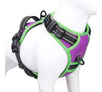 PHOEPET 2019 Reflective Dog Harness Large Breed Adjustable No Pull Vest with with Handle 2 Metal Rings 3 Buckles [Easy to Put on & Take Off](XL, Purple)